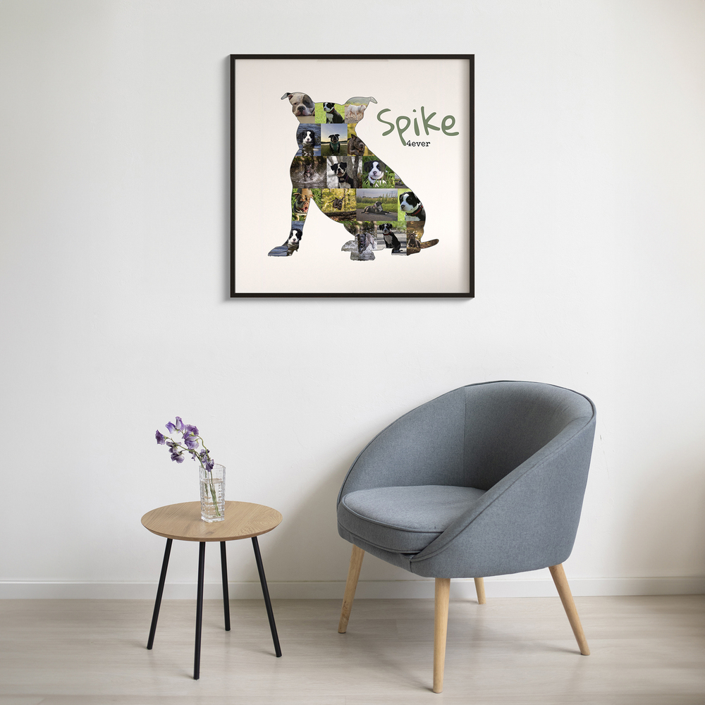 American-Bully-Fotocollage mit sitzender Hundesilhouette im schwarzen Rahmen über einem grauen Sessel