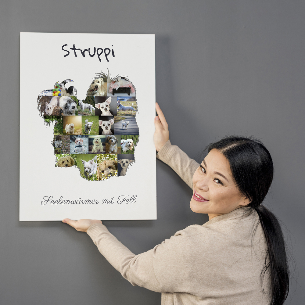 Ungerahmte Havaneser-Fotocollage mit Namen und Spruch an grauer Wand, ein persönliches Geschenk für Hundefreunde