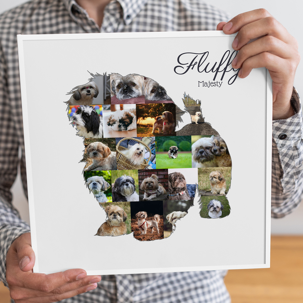 Quadratische Shih-Tzu-Fotocollage mit Namen und kurzem Text im weißen Rahmen, Geschenk für Hundebesitzer