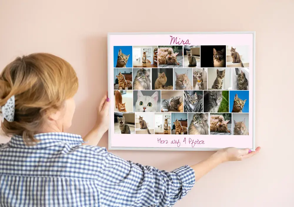 Katzen-Fotocollage im weißen Querformatrahmen mit rosa Hintergrund, Namen und persönlichem Text an einer rosa Wand