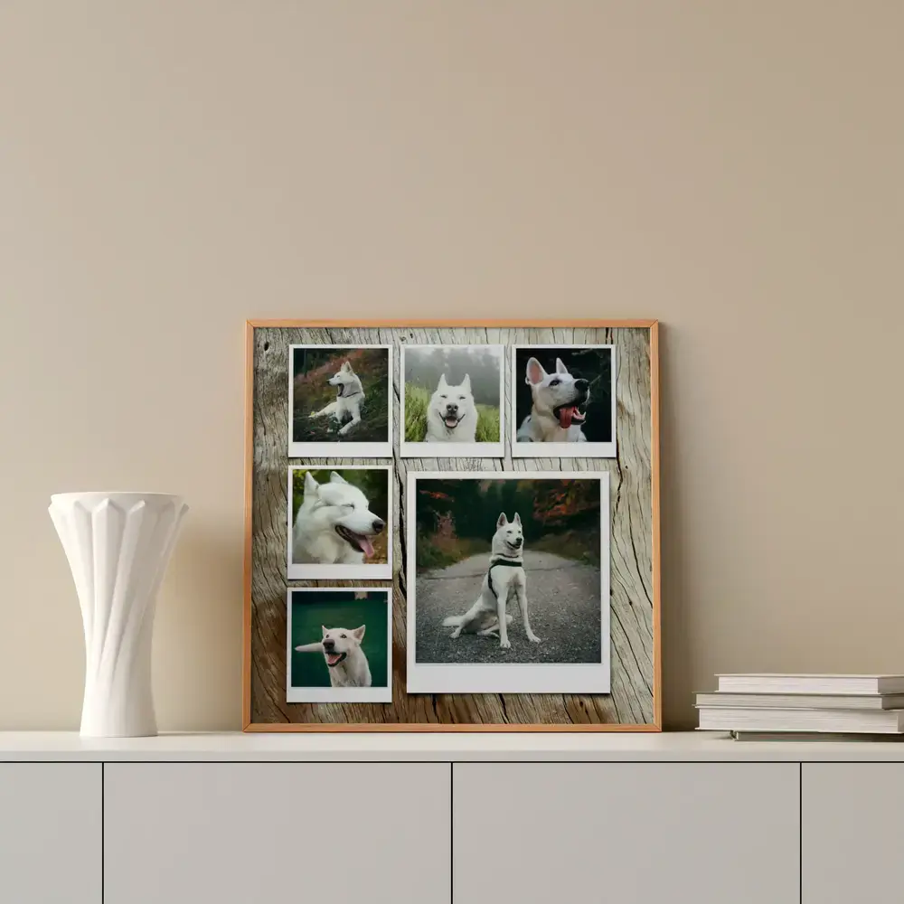 Gerahmte Fotocollage mit sechs Polaroids eines weißen Schäferhunds auf einer weißen Kommode neben einer Vase