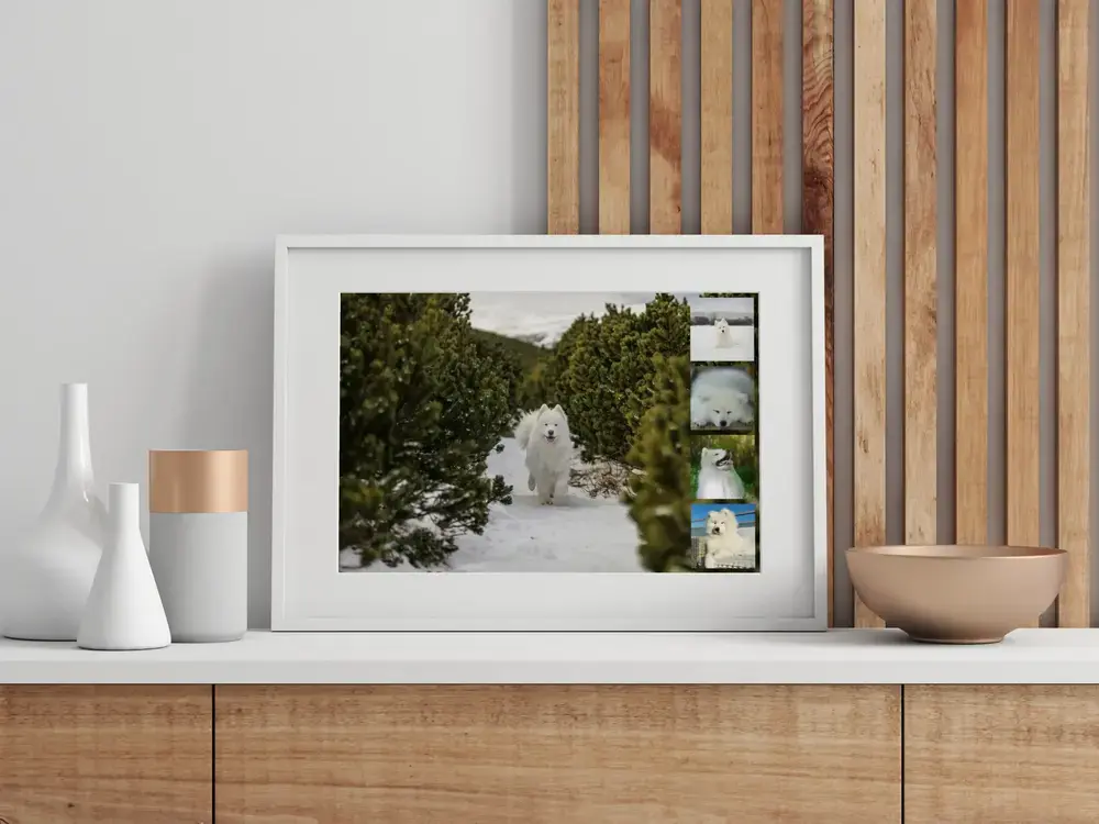 Samojeden-Fotocollage mit Schneemotiv und vier kleinen Randfotos im weißen Rahmen auf einer Holzkommode