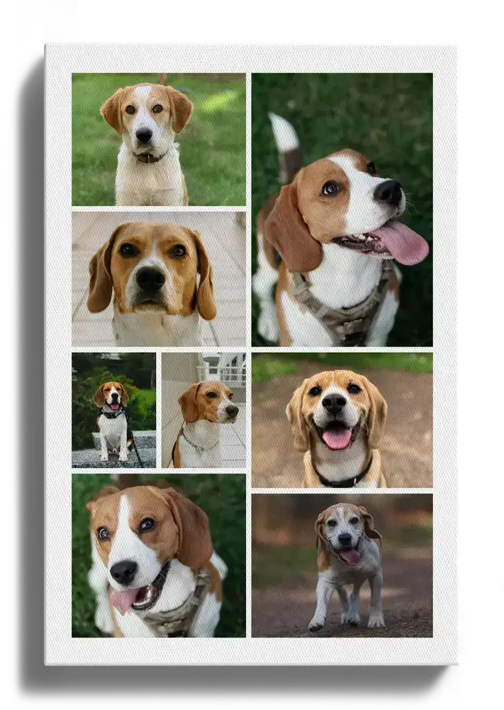 Hochformatige Beagle-Fotocollage auf Leinwand mit unterschiedlich großen Rasterfotos als Geschenk für Hundefreunde