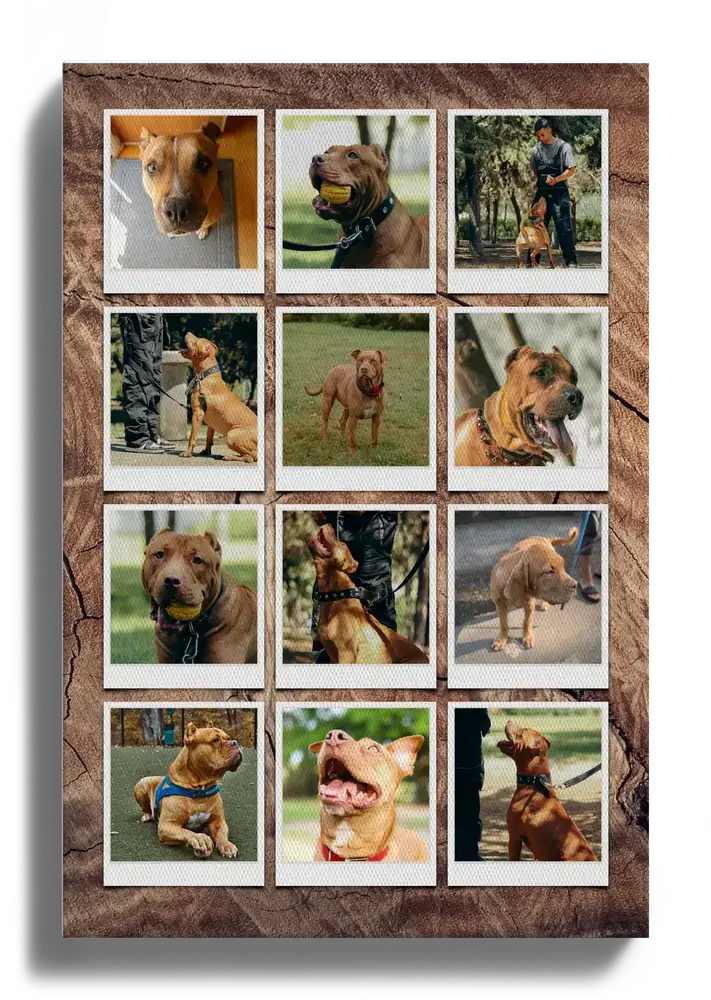 Hundefoto-Collage auf Leinwand mit zwölf Fotos im Polaroid-Stil auf dunklem Hintergrund in Holzoptik