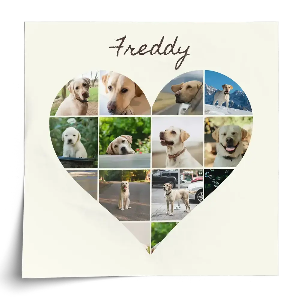 Poster mit herzförmiger Collage aus Labrador-Fotos und personalisiertem Namen auf cremefarbenem Hintergrund