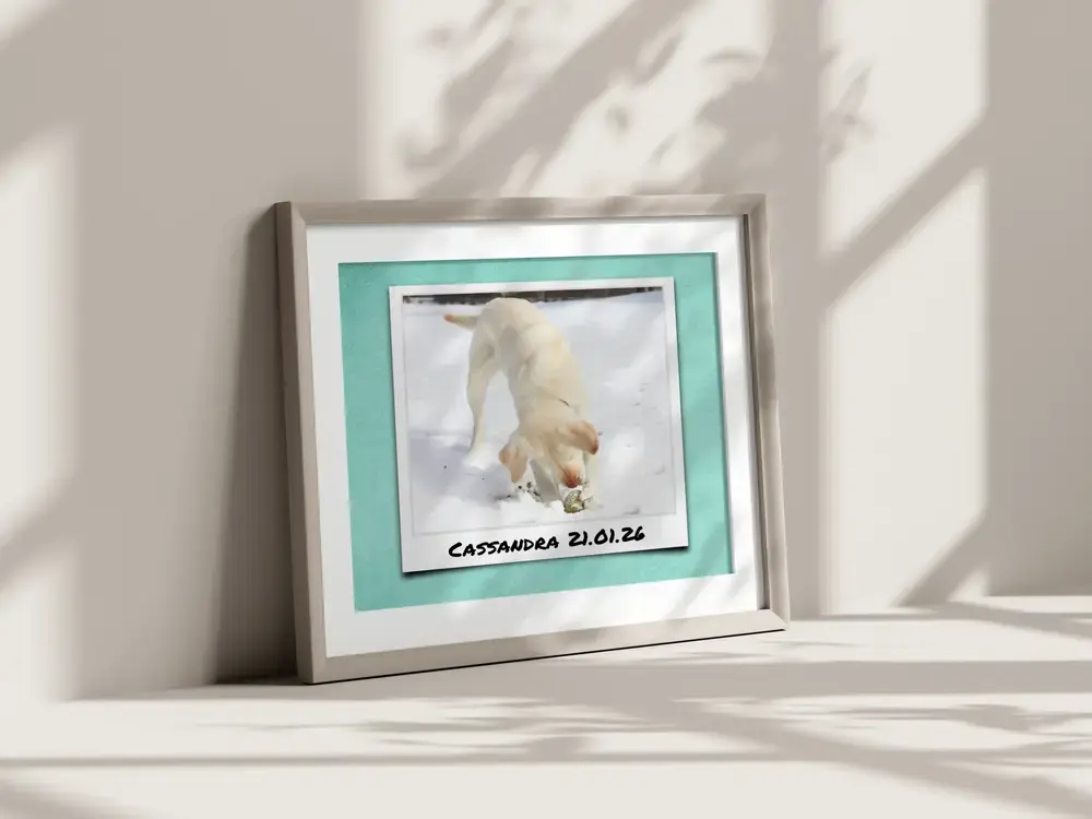 Gerahmtes Hundefoto im Polaroid-Stil auf Türkis mit Namen und Datum, an eine Wand im Sonnenlicht gelehnt