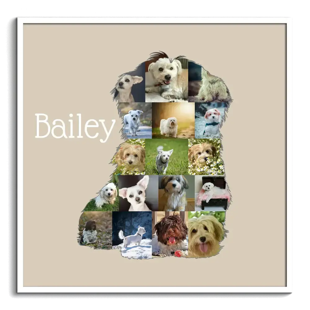 Havaneser-Fotocollage als sitzende Hundesilhouette mit Namen auf beigem Grund im weißen Rahmen