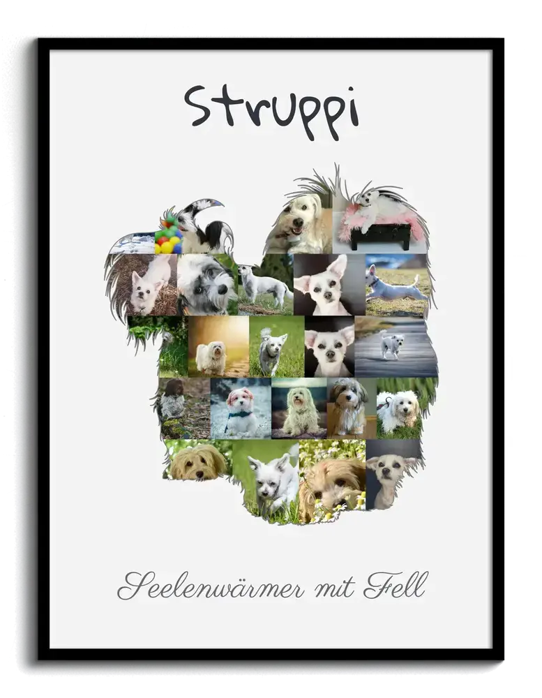 Havaneser-Silhouette aus Hundefotos mit Namen und Spruch auf hellem Hintergrund, hochkant im schwarzen Rahmen