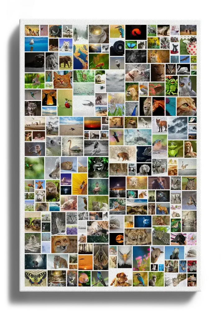 Fotocollage auf Leinwand im Hochformat mit vielen Tier- und Naturfotos in lockerer Anordnung