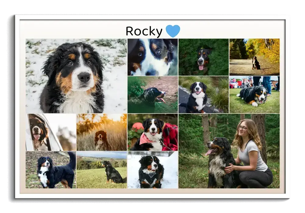 Fotocollage zum Gedenken an einen Hund mit Bildern im Raster, Namen und blauem Herz im weißen Rahmen