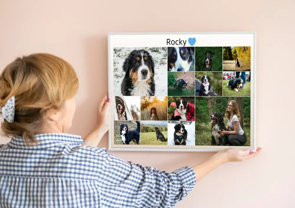 Trauer-Fotocollage für einen Hund mit Namen und blauem Herz, weiß gerahmt an einer rosafarbenen Wand