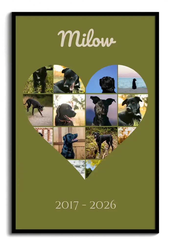 Trauer-Fotocollage für einen Hund als Herz auf Olivgrün, mit Namen und Lebensjahren im schwarzen Rahmen