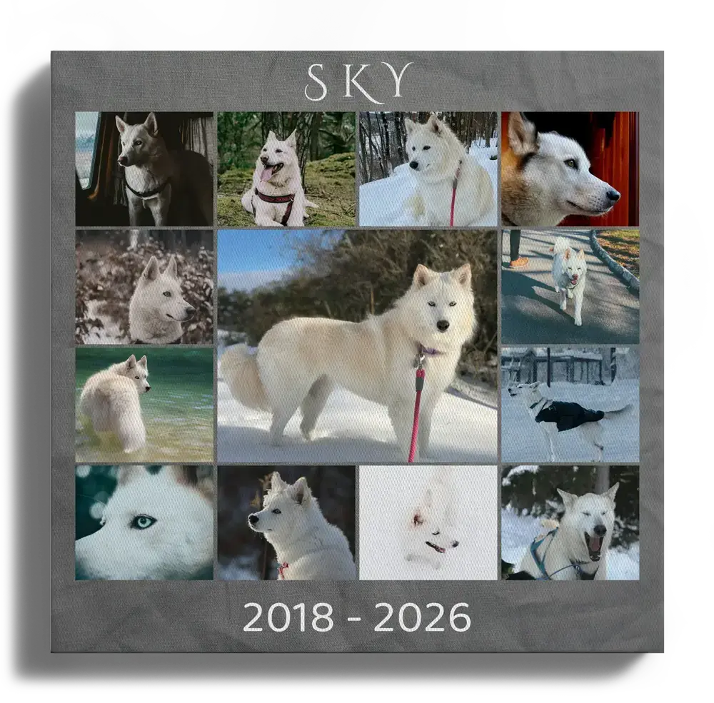 Hunde-Gedenkcollage auf grauer Leinwand mit großem Mittelfoto, Namen und Lebensjahren