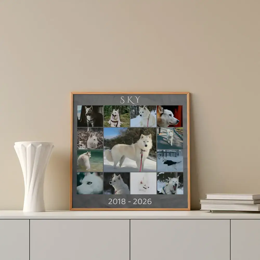 Trauer-Fotocollage für einen Hund mit Namen und Lebensjahren im Holzrahmen auf einem Sideboard neben einer Vase