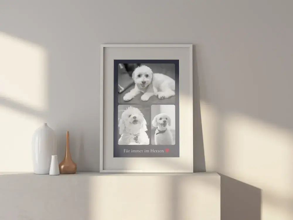 Gedenkcollage für einen Hund mit drei Schwarzweißfotos und rotem Herz im weißen Rahmen auf einem Sideboard