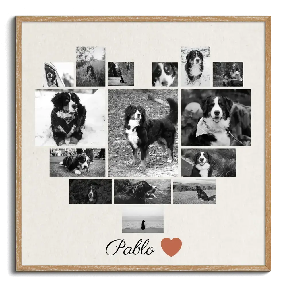 Gedenkcollage mit Schwarzweißfotos eines Berner Sennenhunds in Herzform, Namen und rotem Herz im Holzrahmen