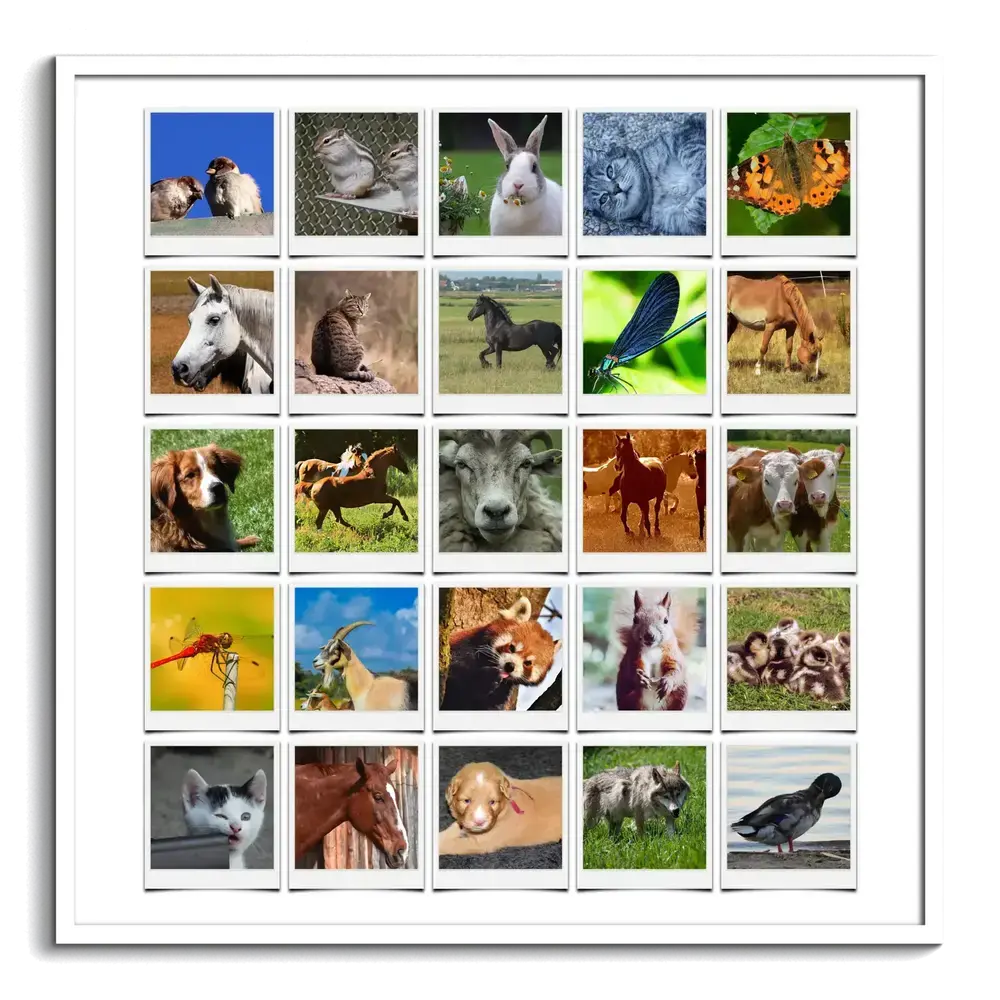 Tierfotocollage mit 25 Fotos von Pferden, Haustieren und Wildtieren in Polaroid-Optik im weißen Rahmen