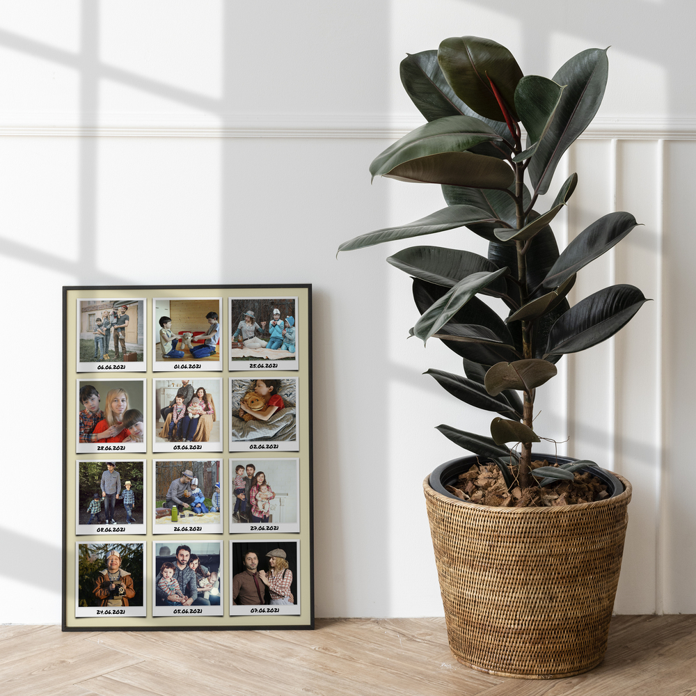 Gerahmte Urlaubsfotocollage neben einer großen Topfpflanze am Boden, als persönliches Geschenk für Reisebegleiter