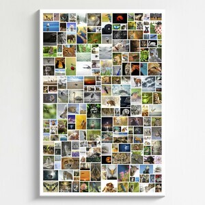 Kunst aus sehr vielen Fotos als kreative Collage. Premium-Druck auf Leinwand, Acryl, Dibond oder Poster