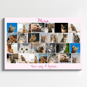 Katzen-Fotocollage jetzt gestalten - z.B. Herz auf 4 Pfoten, mit deinem Text
