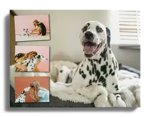 Collage mit Ihrem Lieblingsfoto als Hintergrundbild – 30x40cm Alu-Dibond