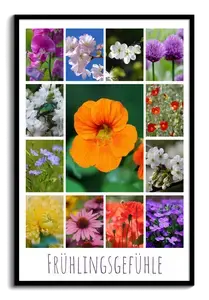 Blumen & Pflanzen Fotocollage – gestalte deinen Premiumdruck als Poster & Leinwand