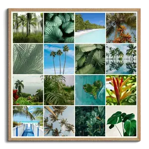 Naturfoto-Collage drucken – Tropen, Palmen, Blumen & Strand – Premiumdruck – Gestalte jetzt