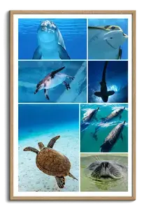 Unterwasser-Tierfoto-Collage online erstellen – deine Tauchmotive als Premium-Druck
