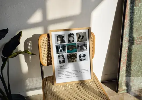 Definitions-Poster Hund mit personalisiertem Foto