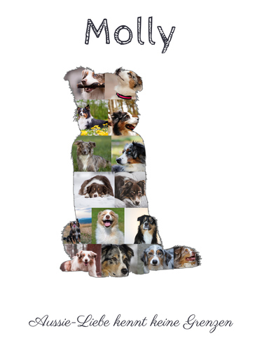 Hunde-Fotocollage "Australian Shepherd" erstellen. Eigene Fotos, Namen und Texte.