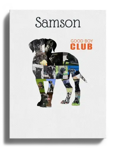 Cane Corso Silhouette Fotocollage für Hundeliebhaber