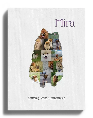 Hunde-Fotocollage "Zwergspitz" erstellen. Eigene Fotos, Namen und Texte.