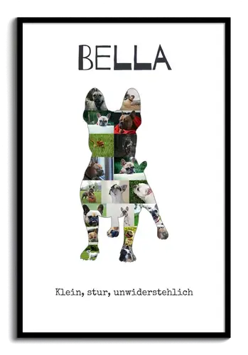 Hunde-Fotocollage "Französische Bulldogge" erstellen. Eigene Fotos, Namen und Texte.