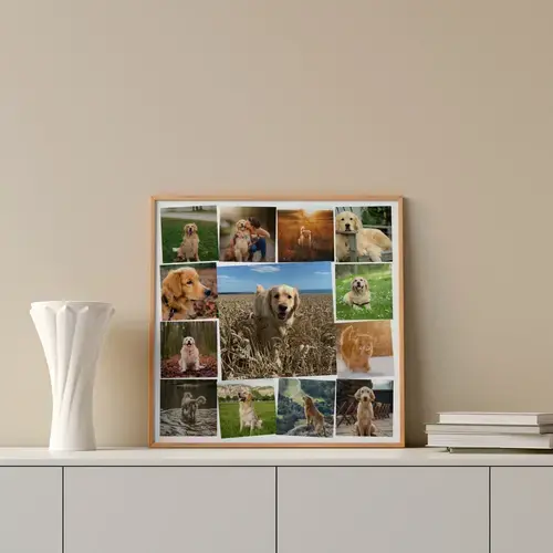 Fotocollage "Hundemomente" mit zentralem Bild