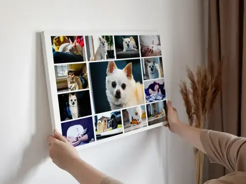 Fotocollage "Hundemomente" mit zentralem Bild