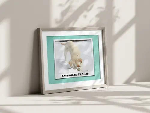 Hundefoto-Collage Herz, 3 Szenen, Polaroid