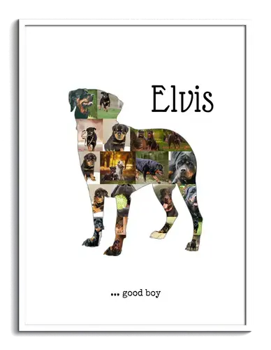 Hunde-Fotocollage "Rottweiler" erstellen. Eigene Fotos, Namen und Texte.