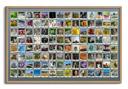 Fotocollage erstellen mit hundert 100 bildern mit Polaroid Fotos