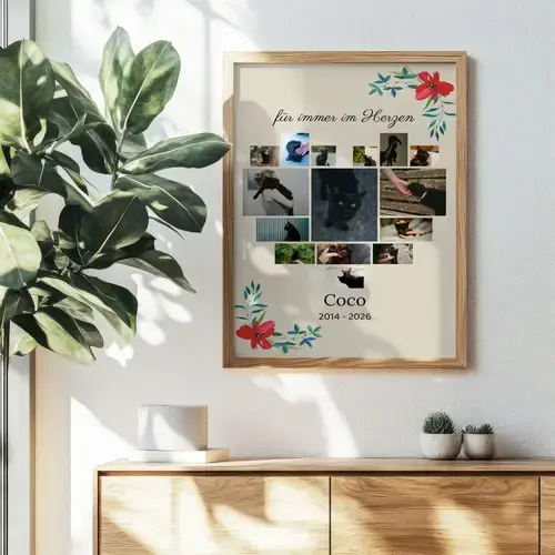 Gedenk-Collage Katze: Einzelbild, Name & Daten