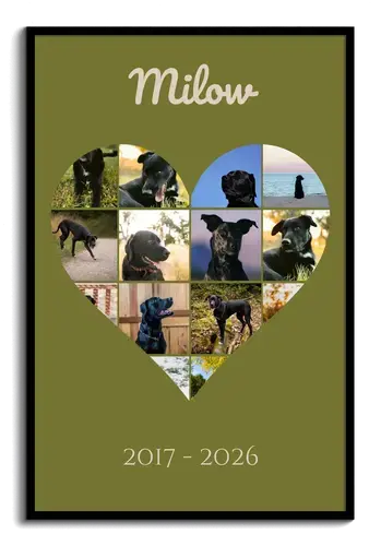 Trauer-Fotocollage Hund – mit optionalem Text