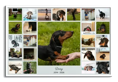 Trauer-Fotocollage Hundesilhouette, Name & Jahre