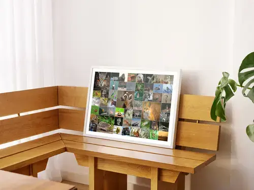 Natur-Tier-Collage: Wildtiere & Vögel Premium-Druck