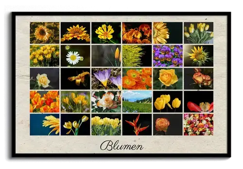 Fotocollage Poster im Raster: Gestalte deine Blumen-Collage mit eigenem Text
