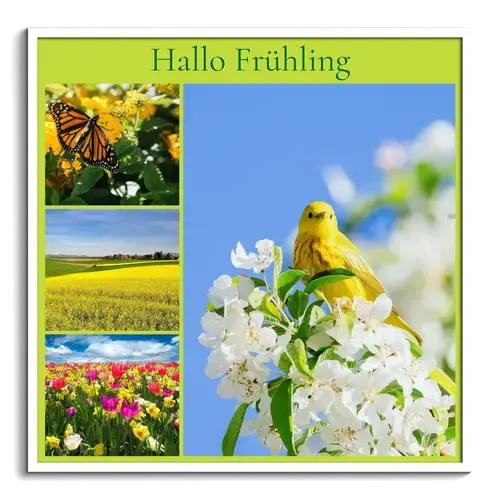 Frühlings-Fotocollagen: Blumen, Wiesen, Text