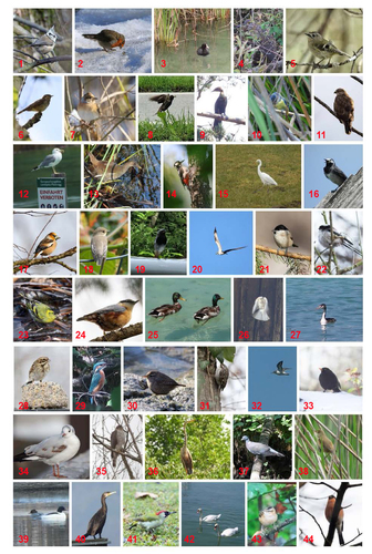 Kundenfoto von Peter für Bewertung Druck Fotocollage Poster 50x70cm