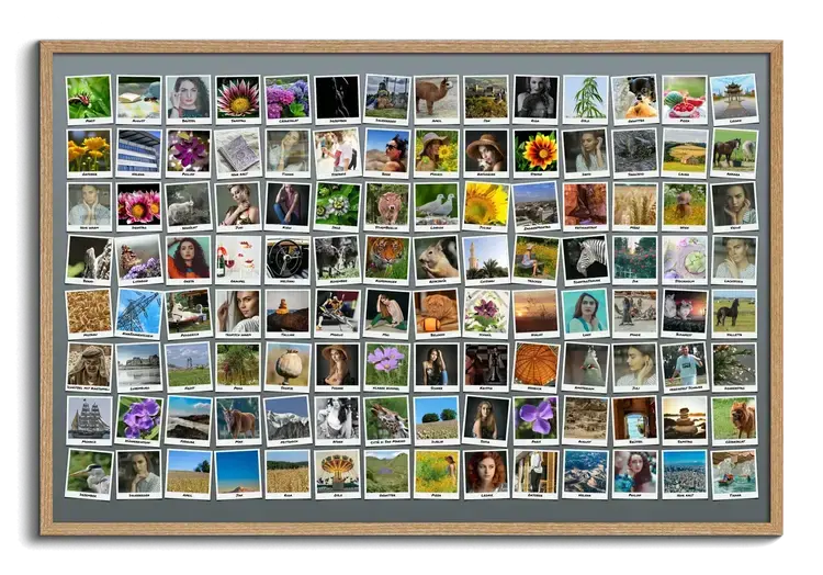 Fotocollage erstellen mit hundert 100 bildern mit Polaroid Fotos