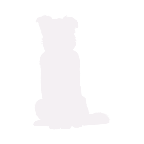 Hundesilhouette Australian Shepherd sitzend