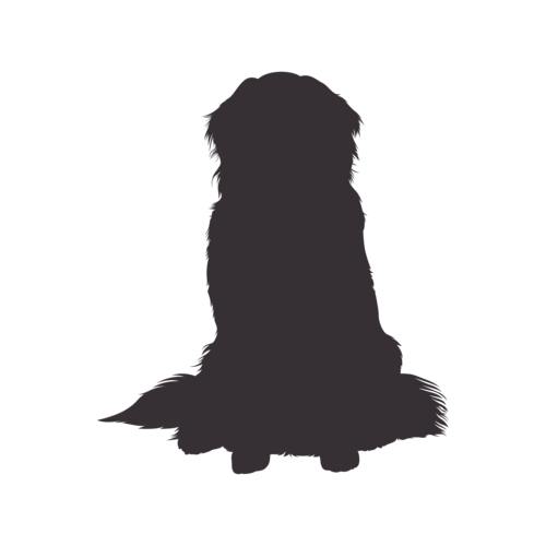 Hundesilhouette Berner Sennenhund sitzend