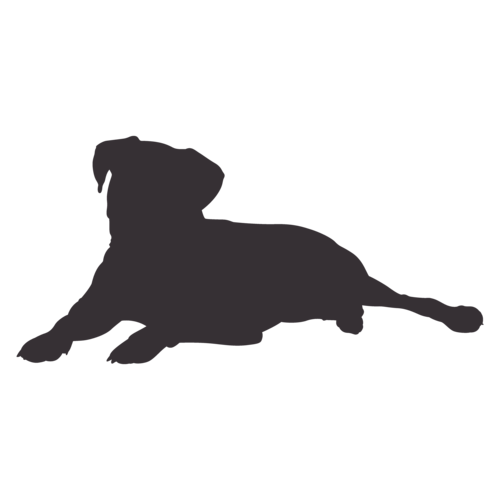 Hundesilhouette Boxer sitzend