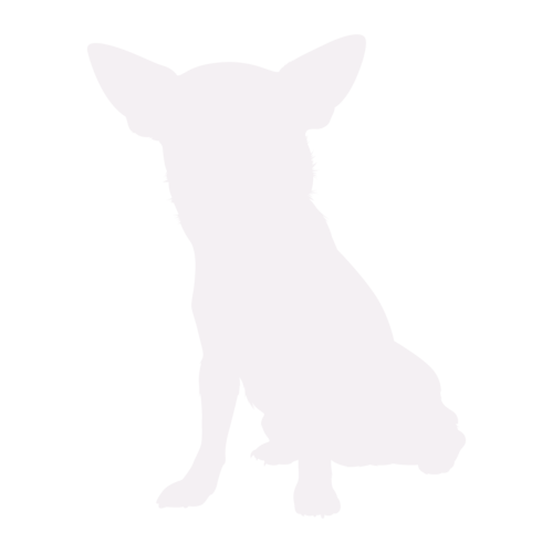 Hundesilhouette Chihuahua sitzend